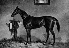 Voltigeur 1847-1874, (1911)