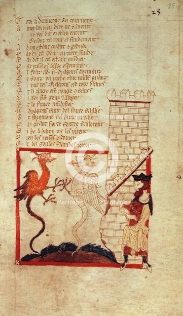 Vortigern finds red and white dragons beneath the foundation of his castle, mid 14th century. Creator: Wace.