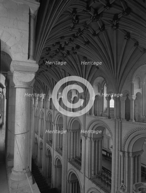 Vaulted ceiling, Norwich Cathedral, Norfolk, c1955.  Creator: Arthur Charles Kirby Ware.