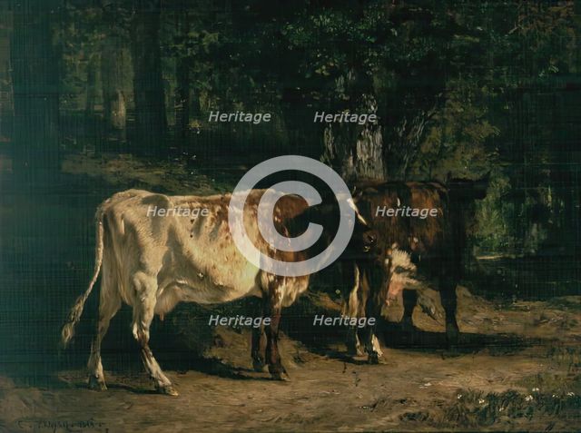 Vaches au Paturage, 1853. Creator: Constant Troyon.