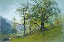 Vahrn in Tyrol near Brixen. Creator: William Stanley Haseltine