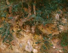 Valdemosa, Majorca: Thistles and Herbage on a Hillside, 1908. Creator: John Singer Sargent