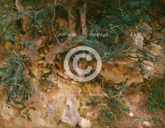 Valdemosa, Majorca: Thistles and Herbage on a Hillside, 1908. Creator: John Singer Sargent.