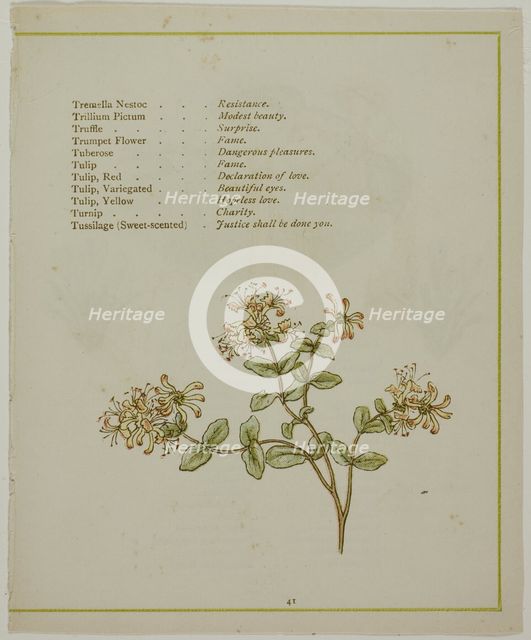 Valerian Through Volkamenia, from The Illuminated Language of Flowers, published 1884. Creators: Edmund Evans, Catherine Greenaway.