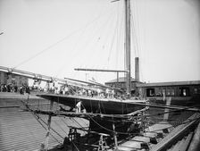 Valkyrie III in Erie Basin, 1895 Aug 24. Creator: John S Johnston
