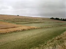 Valley near Enford, Wiltshire, 1999. Artist: IJ Leonard