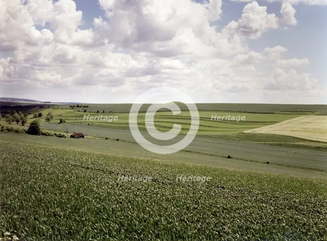 Valley near Enford, Wiltshire, 1999. Artist: IJ Leonard