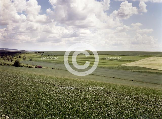 Valley near Enford, Wiltshire, 1999. Artist: IJ Leonard