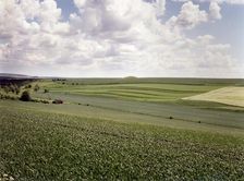 Valley near Enford, Wiltshire, 1999. Artist: IJ Leonard