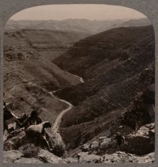 Valley of the Arno, shepherd and sheep in foreground c1900