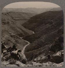 Valley of the Arno, shepherd and sheep in foreground c1900