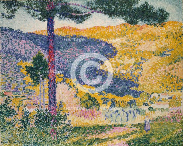 Valley with Fir (Shade on the Mountain), 1909. Creator: Henri-Edmond Cross.