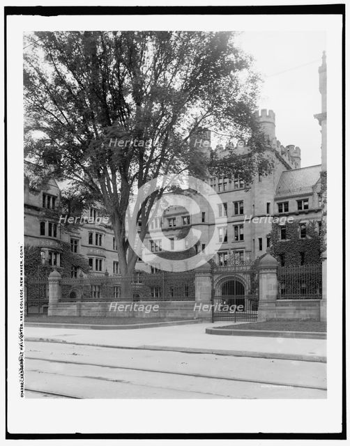 Vanderbilt Hall gates, Yale College, New Haven, Conn., between 1900 and 1906. Creator: Unknown.