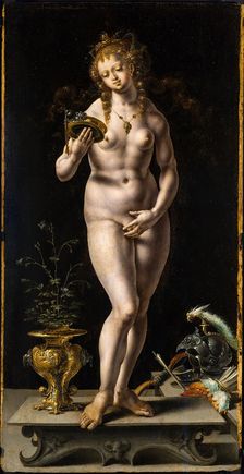 Vanitas, 1520-1524
