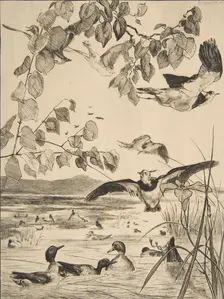 Vanneaux et Sarcelles, 1862. Creator: Felix Bracquemond