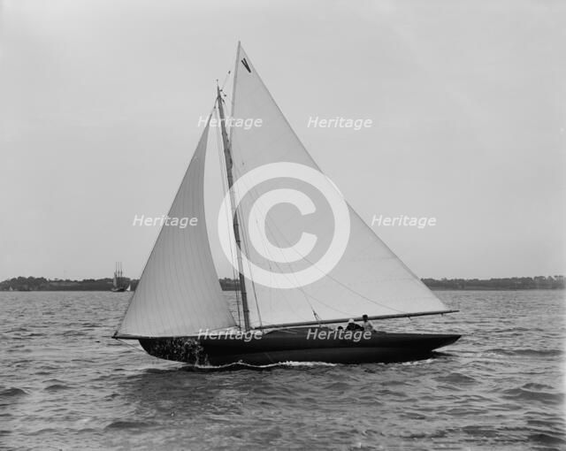 Vaquero III, 1896 June 16. Creator: John S Johnston.