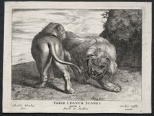 Various Lions. Creator: Abraham Blooteling (Dutch, 1640-1690)