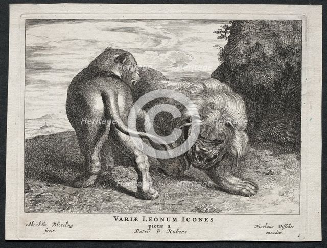 Various Lions. Creator: Abraham Blooteling (Dutch, 1640-1690).