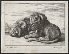 Various Lions. Creator: Abraham Blooteling (Dutch, 1640-1690)