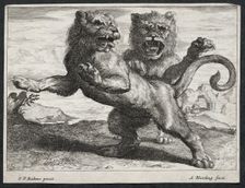 Various Lions. Creator: Abraham Blooteling (Dutch, 1640-1690)