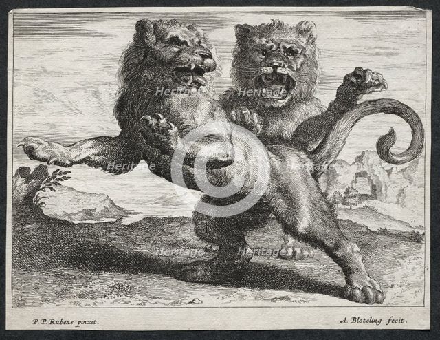 Various Lions. Creator: Abraham Blooteling (Dutch, 1640-1690).