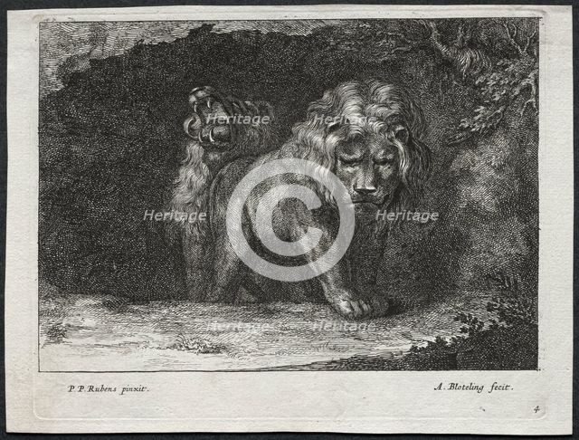 Various Lions. Creator: Abraham Blooteling (Dutch, 1640-1690).