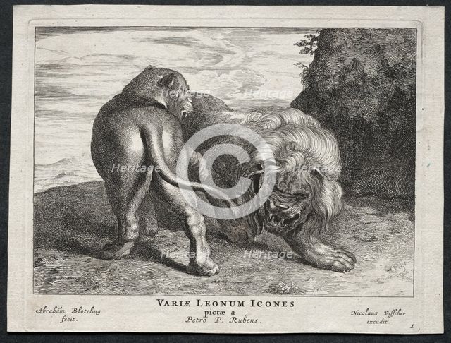 Various Lions. Creator: Abraham Blooteling (Dutch, 1640-1690).