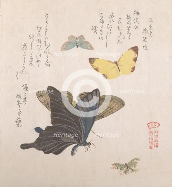 Various moths and butterflies, 19th century. Creator: Kubo Shunman.