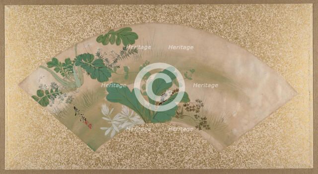 Various Plants and Grass, late 19th century. Creator: Shibata Zeshin.