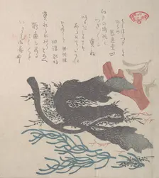 Various Seaweed, 19th century. Creator: Kubo Shunman