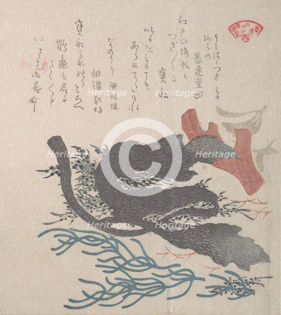 Various Seaweed, 19th century. Creator: Kubo Shunman.
