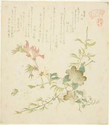 Various Spring Flowers, from the series "Springtime Plants and Trees for the Kasumi Poe..., c. 1820. Creator: Kubo Shunman