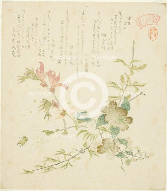 Various Spring Flowers, from the series "Springtime Plants and Trees for the Kasumi Poe..., c. 1820. Creator: Kubo Shunman.
