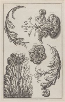 Varieties of Leaf Ornament, nos. CCCCLV-CCCCLIX ("Designs for Various Ornaments," pl. 68),..., 1801. Creator: After Michelangelo Pergolesi