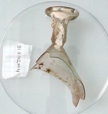 Vase Fragment, Coptic, 4th century. Creator: Unknown