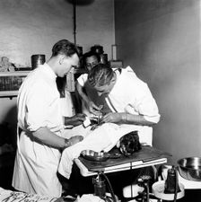 Vets at the People's Dispensary for Sick Animals (PDSA), London, 1951. Creator: Henry Grant