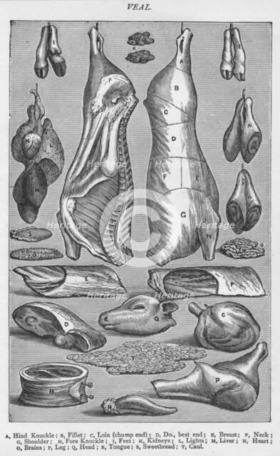 'Veal, 1907, (1907). Artist: Unknown.