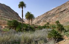Vega de Rio Palmas, Fuerteventura, Canary Islands. Creator: Peter Thompson