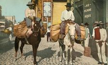 Vegetable Men, Havana, Cuba 1904. Creator: Detroit Photographic Company