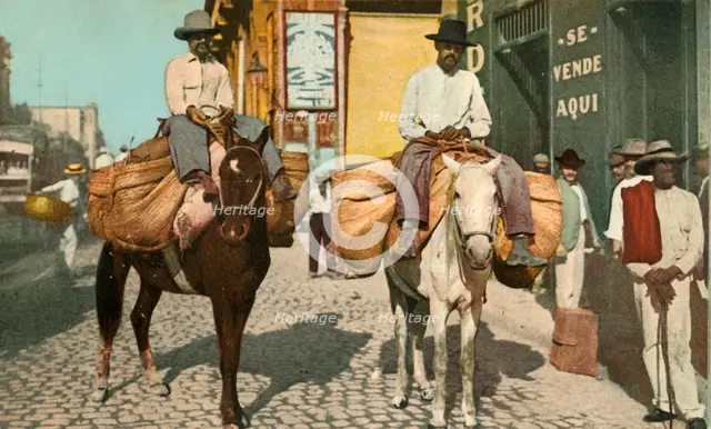 'Vegetable Men, Havana, Cuba', 1904. Creator: Detroit Photographic Company.