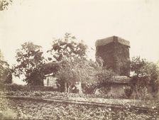 Vegetable Garden and Ivy Covered Tower, 1850s. Creator: Unknown