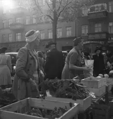 Vegetable stall in the market, Malmö, Sweden, 1947. Creator: Otto Ohm
