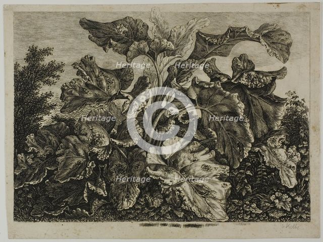 Vegetable Sheet, 1800/28. Creator: Carl Wilhelm Kolbe the elder.
