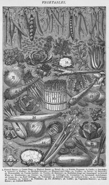 Vegetables 1907, (1907)