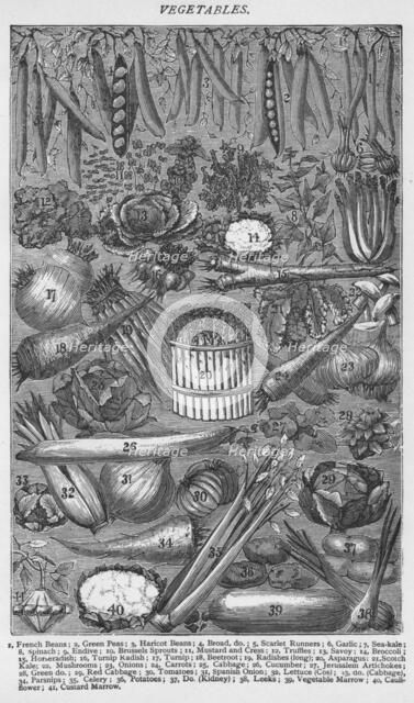 'Vegetables', 1907, (1907). Artist: Unknown.