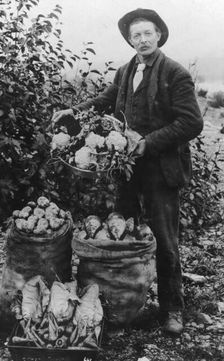Vegetables, between c1900 and c1930. Creator: Unknown