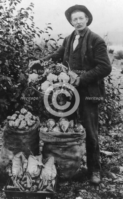 Vegetables, between c1900 and c1930. Creator: Unknown.