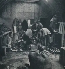 Vegetables for market 1941. Artist: Cecil Beaton