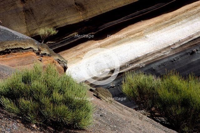 Vegetation and rock formations, Parque Nacional del Teide, Tenerife, Canary Islands, 2007.