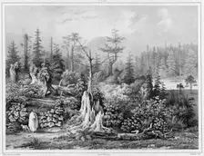 Vegetation around the settlement of Novo-Arkhangelsk (northwest coast of America), 19th century. Creators: Friedrich Heinrich Kittlitz, Louis-Pierre-Alphonse Bichebois